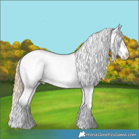 Horse Color:Smoky Black Ice Sabino Splash Appaloosa