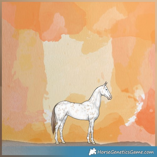 Horse Color:Liver Red Dun Pearl Appaloosa Brindle 