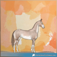Horse Color:Liver Chestnut Pearl Appaloosa