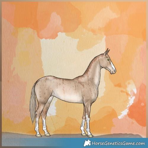 Horse Color:Liver Red Dun Pearl Brindle