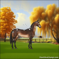 Horse Color:Gray White Spotted Bay Varnish Rabicano 