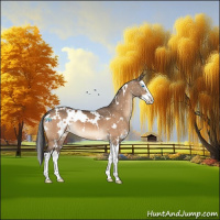 Horse Color:White Spotted Bay Dun Splash Snowflake Varnish 