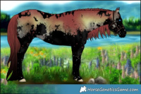 Horse Color:Void Watercolor White Spotted Liver Red Onyx Sabino Splash 