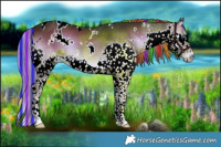 Horse Color:Painted White Spotted Liver Red Onyx Splash Tobiano Rabicano 