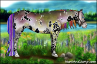 Horse Color:Painted White Spotted Liver Red Onyx Splash Tobiano Rabicano 