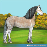 Horse Color:Painted Bay Ice Sabino Splash 