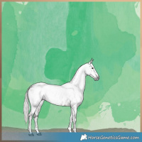 Horse Color:Gray Silver Brown Dun Sabino Near Leopard 