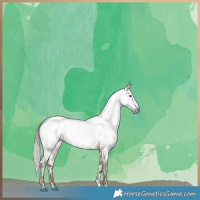 Horse Color:Gray Liver Red Dun Near Leopard Brindle 