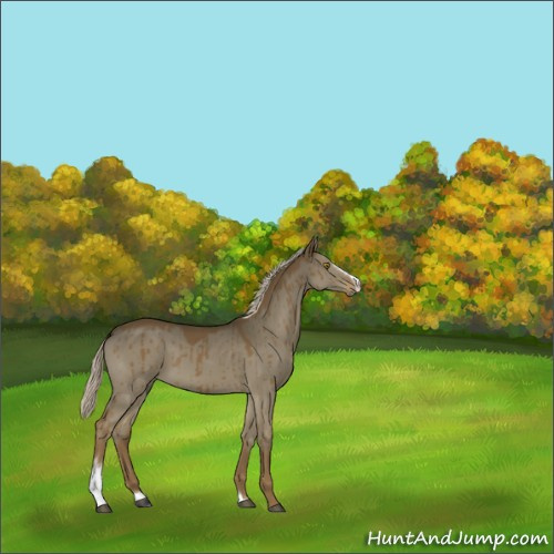 Horse Color:Chocolate Palomino Dun Sabino Brindle 