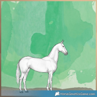 Horse Color:Gray Liver Red Dun Roan Appaloosa Brindle 