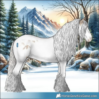 Horse Color:Silver Grullo Splash Tobiano 