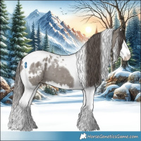 Horse Color:Grullo Splash Tobiano Appaloosa 