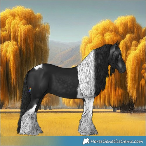 Horse Color:Gray Black Tobiano 