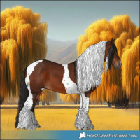 Horse Color:Gray Bay Tobiano