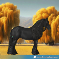 Horse Color:Gray Black 