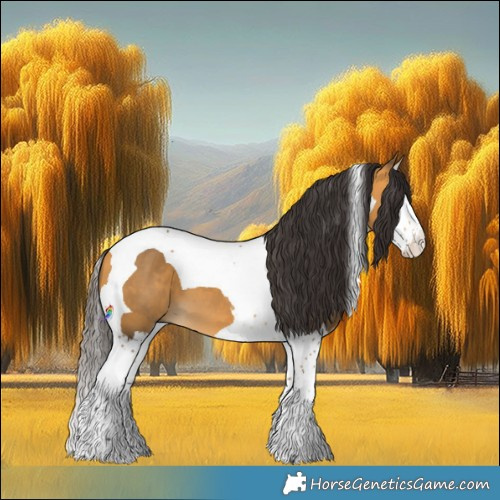 Horse Color:Buckskin Splash Tobiano 