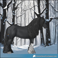 Horse Color:Black Tobiano 