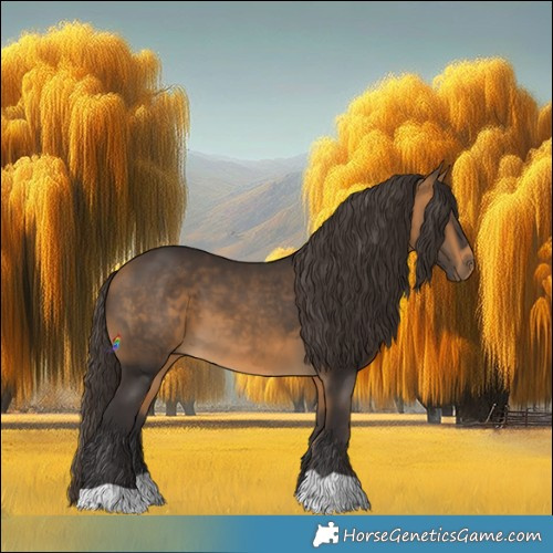 Horse Color:Buckskin 