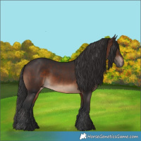 Horse Color:Brown Rabicano 