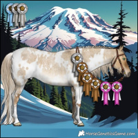Horse Color:White Spotted Chocolate Palomino Roan Dun 