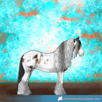 Horse Color:Liver Chestnut Tobiano Frame Appaloosa 