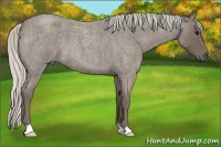 Horse Color:Silver Smoky Blue Roan