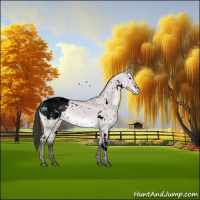 Horse Color:Void Platinum White Spotted Bay Dun Snowcap Rabicano 
