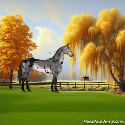 Horse Color:Gray Void Platinum White Spotted Brown Dun Tobiano Appaloosa