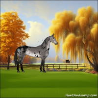 Horse Color:Gray Void Platinum White Spotted Brown Dun Tobiano Appaloosa