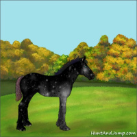 Horse Color:Void Nacre Smoky Black Snowdrop Splash Tobiano Snowcap 