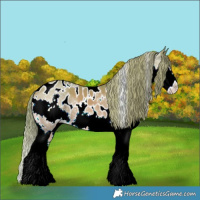 Horse Color:Watercolor White Spotted Chestnut Splash Near Leopard 