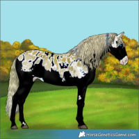 Horse Color:Watercolor White Spotted Chestnut Splash Blanket 