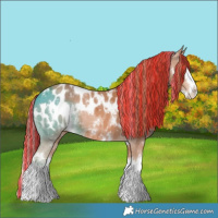 Horse Color:Painted White Spotted Chestnut Splash Blanket 