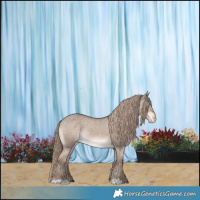 Horse Color:Liver Red Dun Appaloosa 