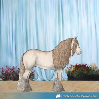 Horse Color:Perlino Dun 