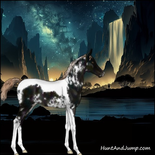 Horse Color:White Spotted Midnight Liver Chestnut Ice Tobiano 