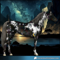 Horse Color:White Spotted Midnight Liver Chestnut Ice Mushroom 