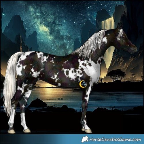 Horse Color:White Spotted Midnight Liver Red Onyx Ice Mushroom