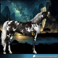 Horse Color:White Spotted Midnight Liver Red Onyx Ice Mushroom 