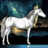 Horse Color:White Spotted Midnight Liver Chestnut Ice Mushroom 