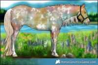 Horse Color:Watercolor Plaid  White Spotted Chocolate Palomino Sabino 