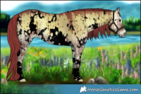 Horse Color:Void Watercolor White Spotted Liver Red Dun Onyx Brindle 