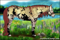 Horse Color:Void Watercolor White Spotted Liver Red Dun Onyx Brindle