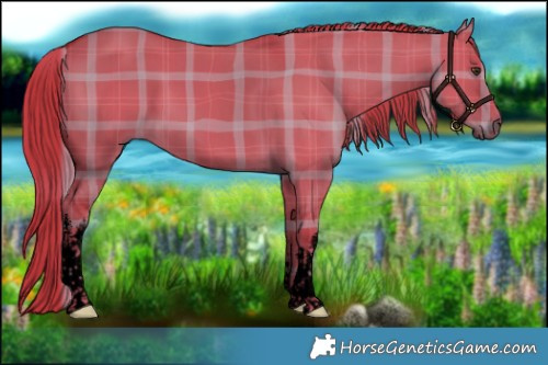 Horse Color:Void Watercolor Plaid White Spotted Liver Red Dun