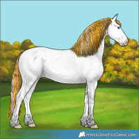 Horse Color:Painted Palomino Ice Splash Near Leopard