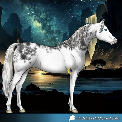 Horse Color:White Spotted Liver Chestnut Ice Mushroom Splash Rabicano