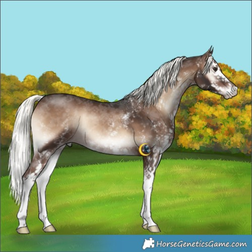 Horse Color:White Spotted Liver Red Onyx Mushroom Splash 