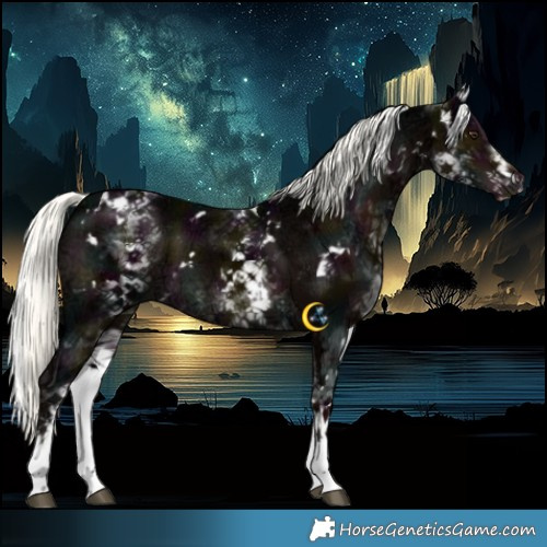 Horse Color:White Spotted Midnight Liver Chestnut Ice Mushroom