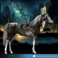 Horse Color:Gray Midnight Liver Red Dun Ice Mushroom Tobiano Rabicano Brindle 