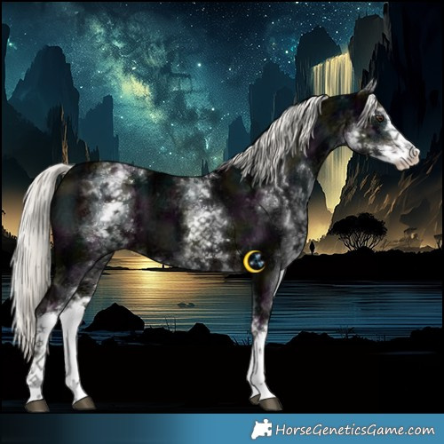 Horse Color:White Spotted Midnight Liver Chestnut Ice Mushroom 